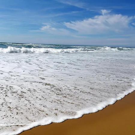 A Seignosse: A Pied, Terrasse, 3 Chambres, Quartier Calme - Fr-1-239-1036 Σπίτι διακοπών *