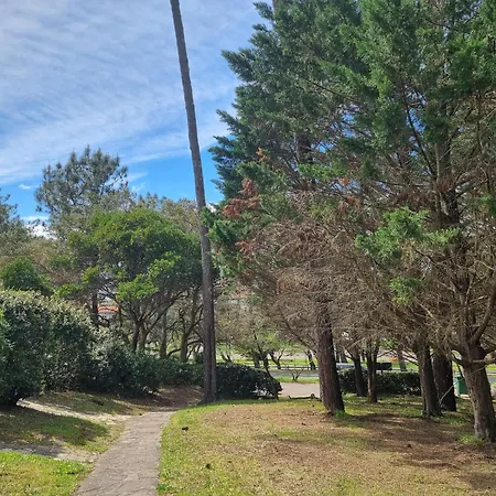 度假居 A Seignosse: A Pied, Terrasse, 3 Chambres, Quartier Calme - Fr-1-239-1036 塞尼奥斯