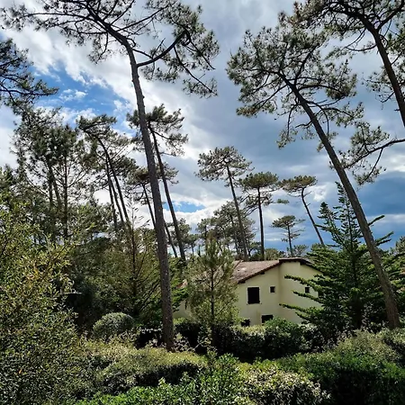 A Seignosse: A Pied, Terrasse, 3 Chambres, Quartier Calme - Fr-1-239-1036 塞尼奥斯