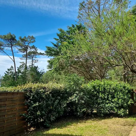 A Seignosse: A Pied, Terrasse, 3 Chambres, Quartier Calme - Fr-1-239-1036 * 塞尼奥斯