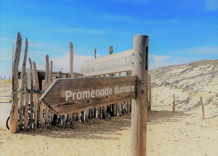 à Seignosse: à Pied, Terrasse, 3 Chambres, Quartier Calme - Fr-1-239-1036