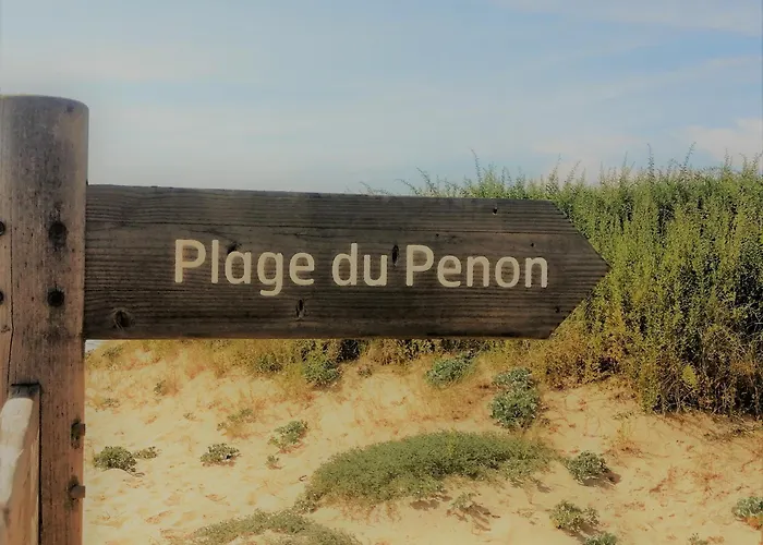 à Seignosse: à Pied, Terrasse, 3 Chambres, Quartier Calme - Fr-1-239-1036 Seignosse