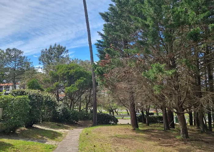 Casa vacanze à Seignosse: à Pied, Terrasse, 3 Chambres, Quartier Calme - Fr-1-239-1036 Seignosse