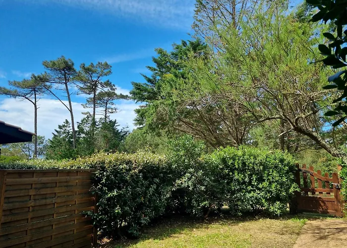 à Seignosse: à Pied, Terrasse, 3 Chambres, Quartier Calme - Fr-1-239-1036 * Seignosse